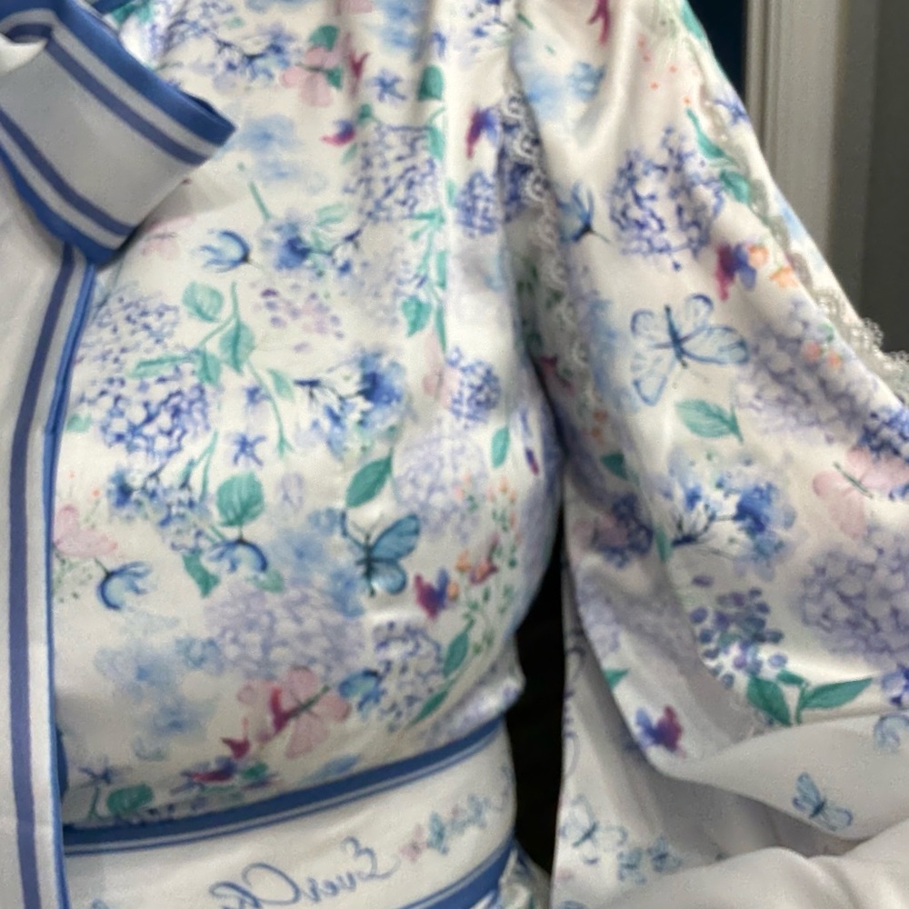 Chic Long Sleeve Floral Dress in Blue and White - Picture 6 of 14